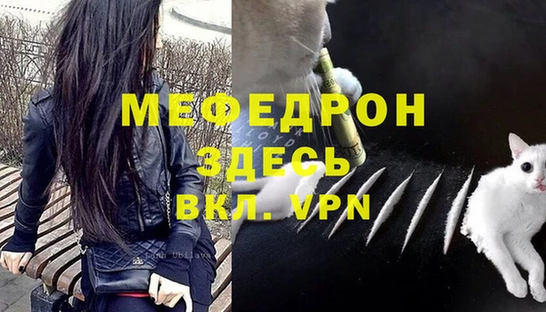 мдпв Богданович