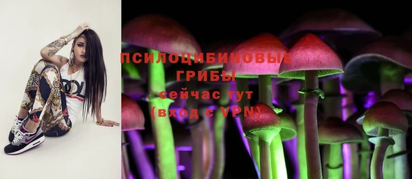 молекула духа Белокуриха
