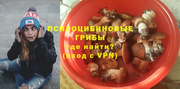 молекула духа Белокуриха