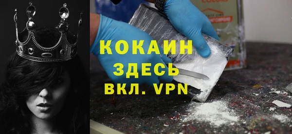 молекула духа Белокуриха